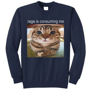 Rage Is Consuming Me Silly Cat Meme Tall Sweatshirt