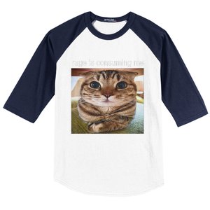 Rage Is Consuming Me Silly Cat Meme Baseball Sleeve Shirt