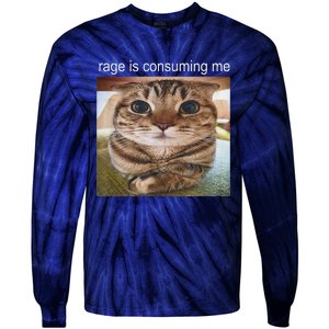 Rage Is Consuming Me Silly Cat Meme Tie-Dye Long Sleeve Shirt