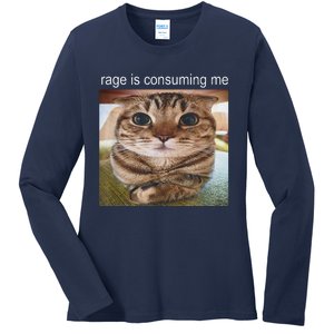 Rage Is Consuming Me Silly Cat Meme Ladies Long Sleeve Shirt