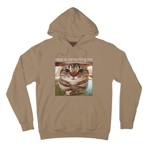 Rage Is Consuming Me Silly Cat Meme Hoodie