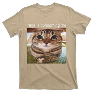 Rage Is Consuming Me Silly Cat Meme T-Shirt