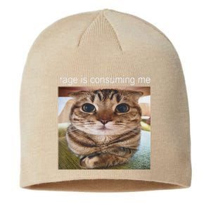 Rage Is Consuming Me Silly Cat Meme Sustainable Beanie