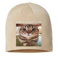 Rage Is Consuming Me Silly Cat Meme Sustainable Beanie