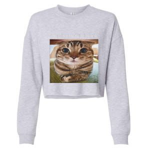 Rage Is Consuming Me Silly Cat Meme Cropped Pullover Crew