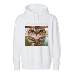 Rage Is Consuming Me Silly Cat Meme Garment-Dyed Fleece Hoodie