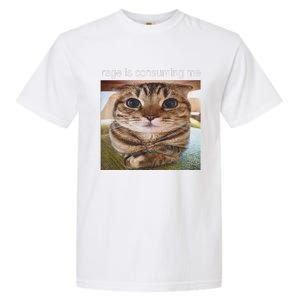 Rage Is Consuming Me Silly Cat Meme Garment-Dyed Heavyweight T-Shirt