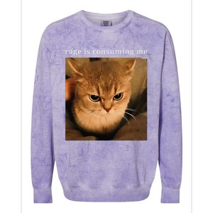 Rage Is Consuming Me Cat Meme Colorblast Crewneck Sweatshirt