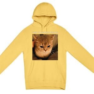 Rage Is Consuming Me Cat Meme Premium Pullover Hoodie