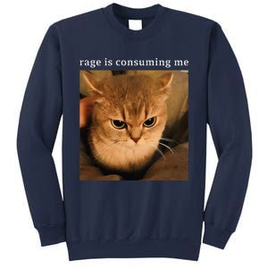 Rage Is Consuming Me Cat Meme Sweatshirt