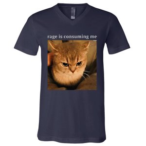 Rage Is Consuming Me Cat Meme V-Neck T-Shirt