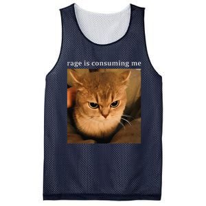 Rage Is Consuming Me Cat Meme Mesh Reversible Basketball Jersey Tank