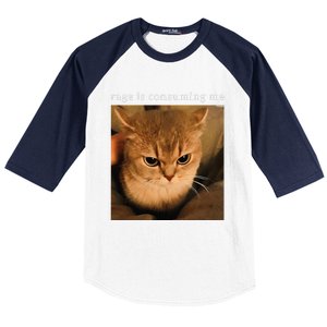 Rage Is Consuming Me Cat Meme Baseball Sleeve Shirt