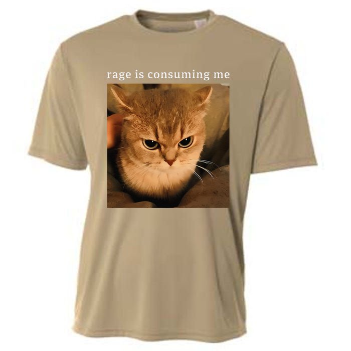 Rage Is Consuming Me Cat Meme Cooling Performance Crew T-Shirt