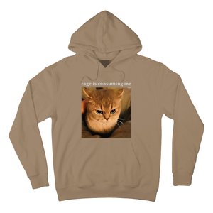 Rage Is Consuming Me Cat Meme Hoodie