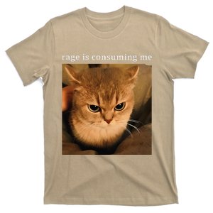 Rage Is Consuming Me Cat Meme T-Shirt