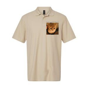 Rage Is Consuming Me Cat Meme Softstyle Adult Sport Polo