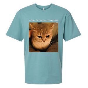 Rage Is Consuming Me Cat Meme Sueded Cloud Jersey T-Shirt