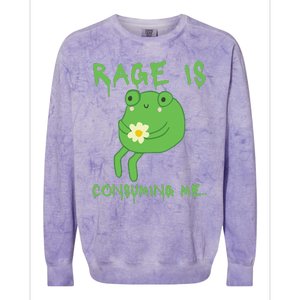 Rage Is Consuming Me Meme Frog Meme Forg Funny Memes Genz Colorblast Crewneck Sweatshirt