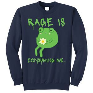 Rage Is Consuming Me Meme Frog Meme Forg Funny Memes Genz Sweatshirt