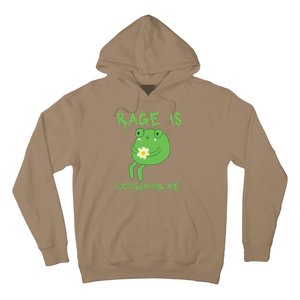 Rage Is Consuming Me Meme Frog Meme Forg Funny Memes Genz Hoodie