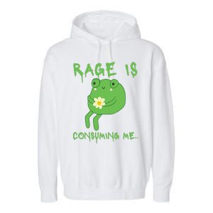 Rage Is Consuming Me Meme Frog Meme Forg Funny Memes Genz Garment-Dyed Fleece Hoodie