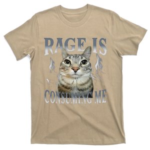 Rage Is Consuming Me Funny Silly Staring Cat Meme Oddly Joke T-Shirt