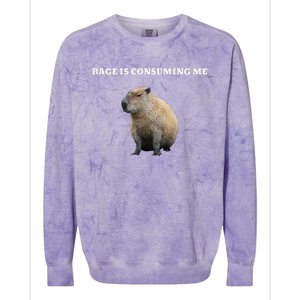 Rage Is Consuming Me Capybara Meme Colorblast Crewneck Sweatshirt