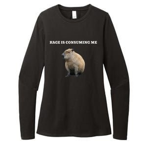 Rage Is Consuming Me Capybara Meme Womens CVC Long Sleeve Shirt