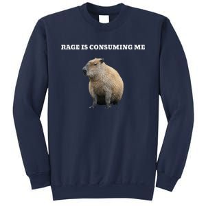 Rage Is Consuming Me Capybara Meme Sweatshirt