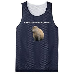 Rage Is Consuming Me Capybara Meme Mesh Reversible Basketball Jersey Tank