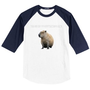 Rage Is Consuming Me Capybara Meme Baseball Sleeve Shirt