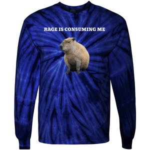 Rage Is Consuming Me Capybara Meme Tie-Dye Long Sleeve Shirt