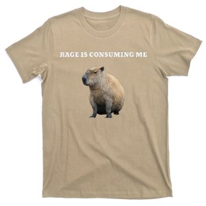 Rage Is Consuming Me Capybara Meme T-Shirt