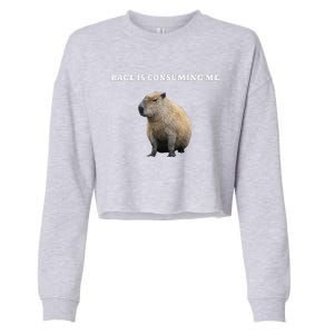 Rage Is Consuming Me Capybara Meme Cropped Pullover Crew