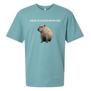 Rage Is Consuming Me Capybara Meme Sueded Cloud Jersey T-Shirt