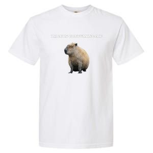 Rage Is Consuming Me Capybara Meme Garment-Dyed Heavyweight T-Shirt