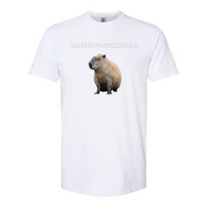 Rage Is Consuming Me Capybara Meme Softstyle CVC T-Shirt