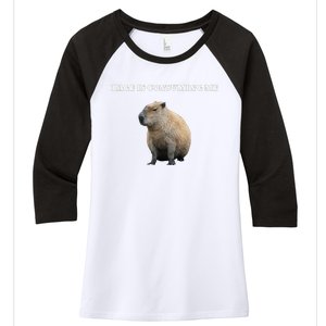 Rage Is Consuming Me Capybara Meme Women's Tri-Blend 3/4-Sleeve Raglan Shirt