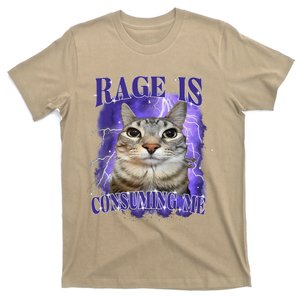 Rage Is Consuming Me Silly Staring Cat Meme T-Shirt