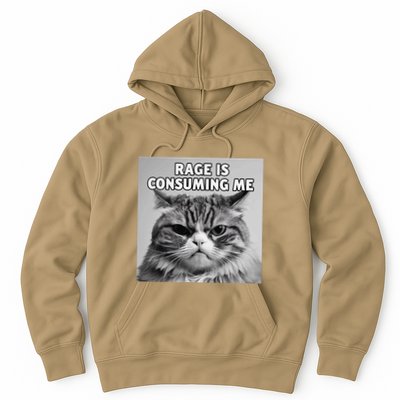 Rage Is Consuming Me Silly Staring Cat Meme .Png Hoodie