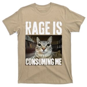 Rage Is Consuming Me Silly Staring Cat Lovers Meme T-Shirt