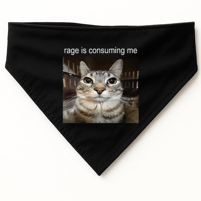 Rage Is Consuming Me Silly Staring Cat Meme USA-Made Doggie Bandana