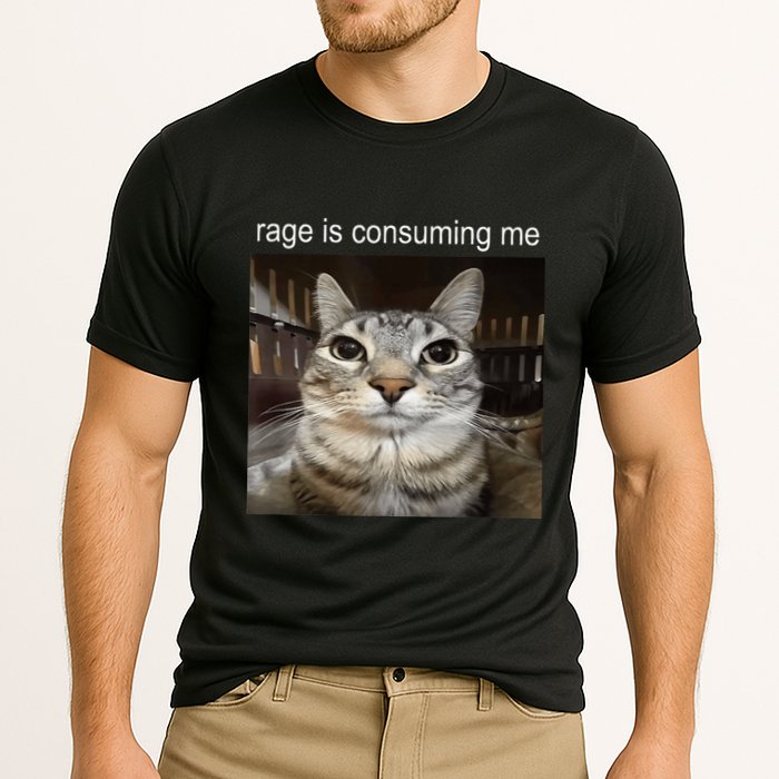 Rage Is Consuming Me Silly Staring Cat Meme Cooling Performance Crew T-Shirt