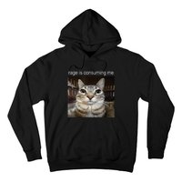 Rage Is Consuming Me Silly Staring Cat Meme Hoodie