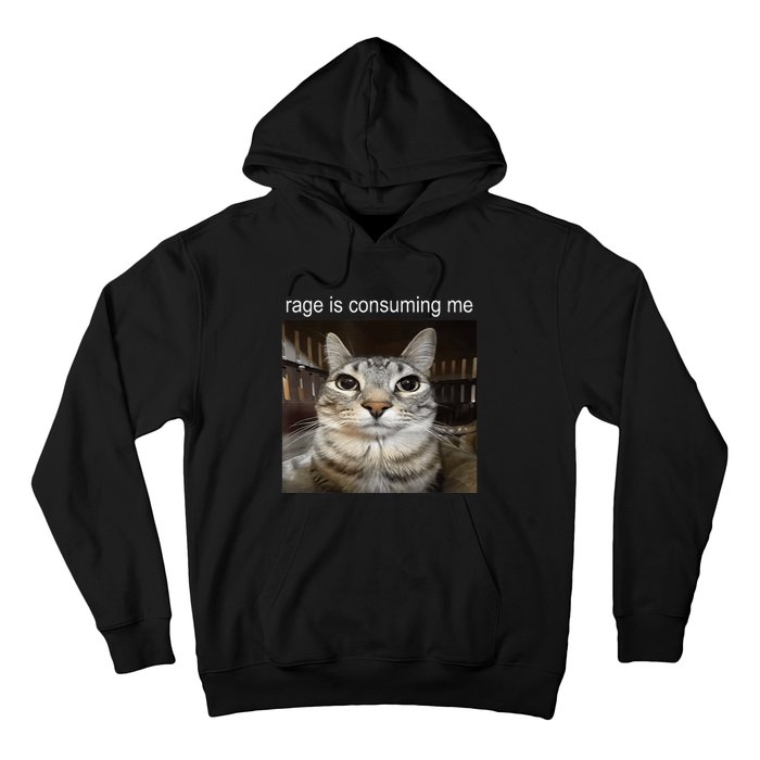 Rage Is Consuming Me Silly Staring Cat Meme Hoodie