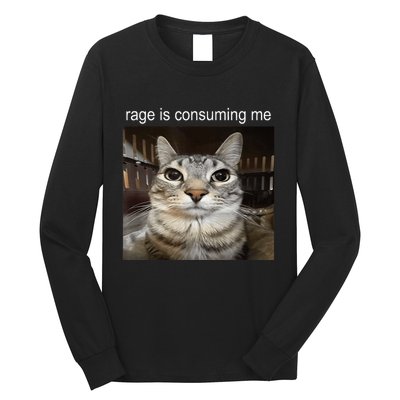 Rage Is Consuming Me Silly Staring Cat Meme Long Sleeve Shirt