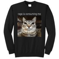 Rage Is Consuming Me Silly Staring Cat Meme Sweatshirt