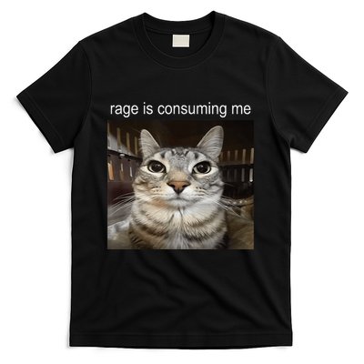 Rage Is Consuming Me Silly Staring Cat Meme T-Shirt