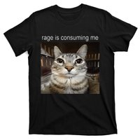 Rage Is Consuming Me Silly Staring Cat Meme T-Shirt